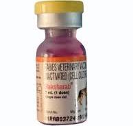 RAKSHARB VACINE [VET]  1ML