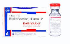 RABIVAX S INJ  1ML
