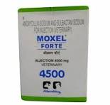 MOXEL FORT INJ  1,S