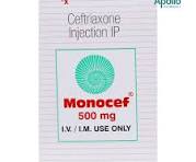 MONOCEF-500 INJ  1VAIL