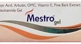MESTRO-GEL  15GM