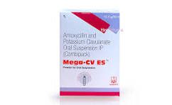 MEGA-CV ES SYP  50ML