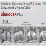 GINKOCER PLUS TAB  1,S