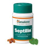 SEPTILIN TAB  1*60